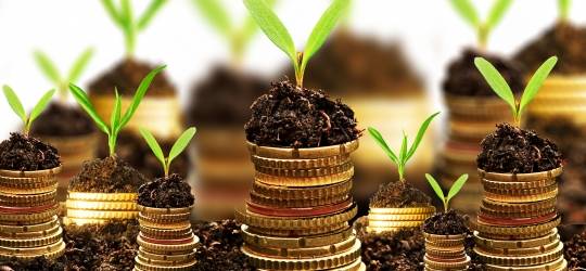 APIA a autorizat la plată un număr de 753.357 fermieri unici care au depus Cerere de plată în cadrul Campaniei 2017