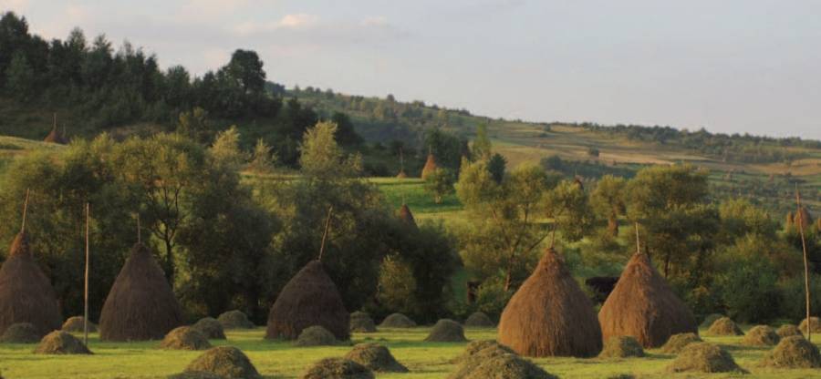 MADR: Elemente de noutate pe Măsura 10 Agro-mediu și climă din PNDR 2014-2020