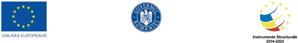 Anunț de încheiere proiect grant pentru capital de lucru pentru TEPHRA RESTO SRL